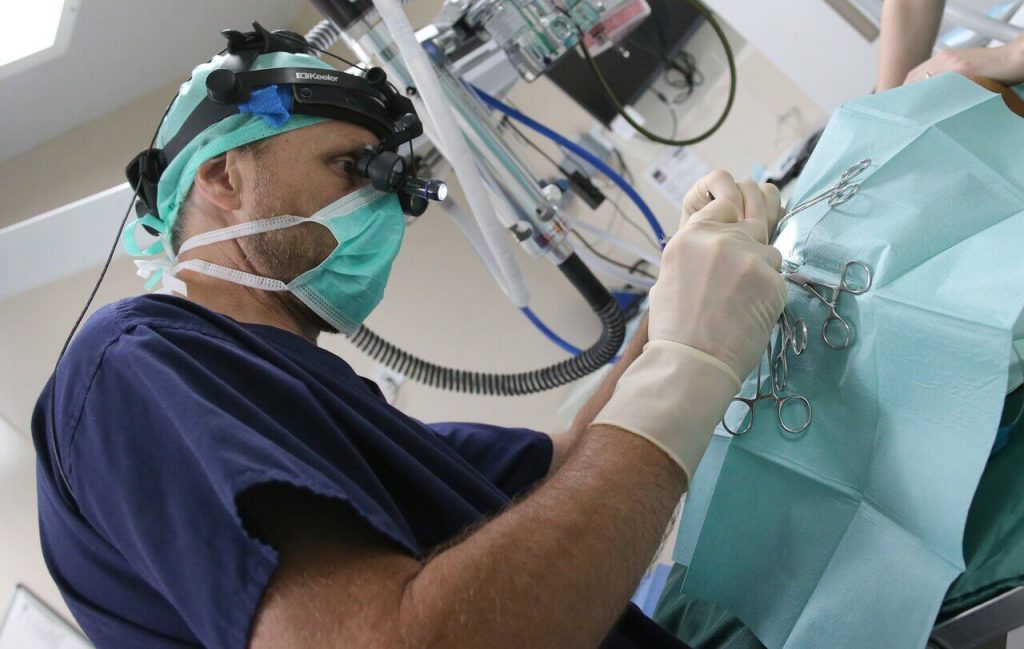 Nantwich Pet Vets Looking after your pets 24 hours a day