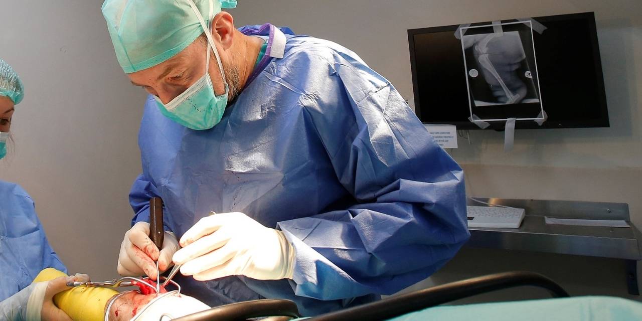 Orthopaedic & Spinal Surgery Nantwich Pet Vets